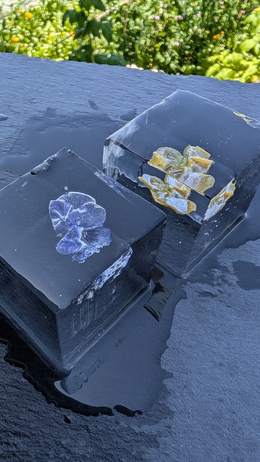 Essbare Blüten im Eiswürfel