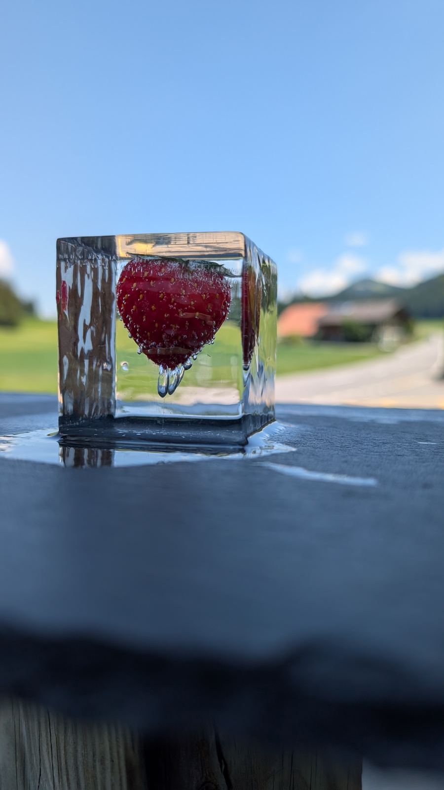 Erdbeere im klaren Eiswürfel